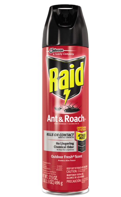 Raid Ant & Roach